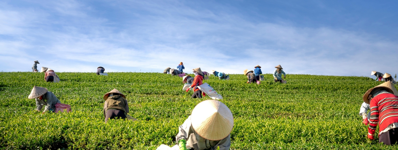 AI and ML in Agriculture Smart Farming for a Sustainable Future